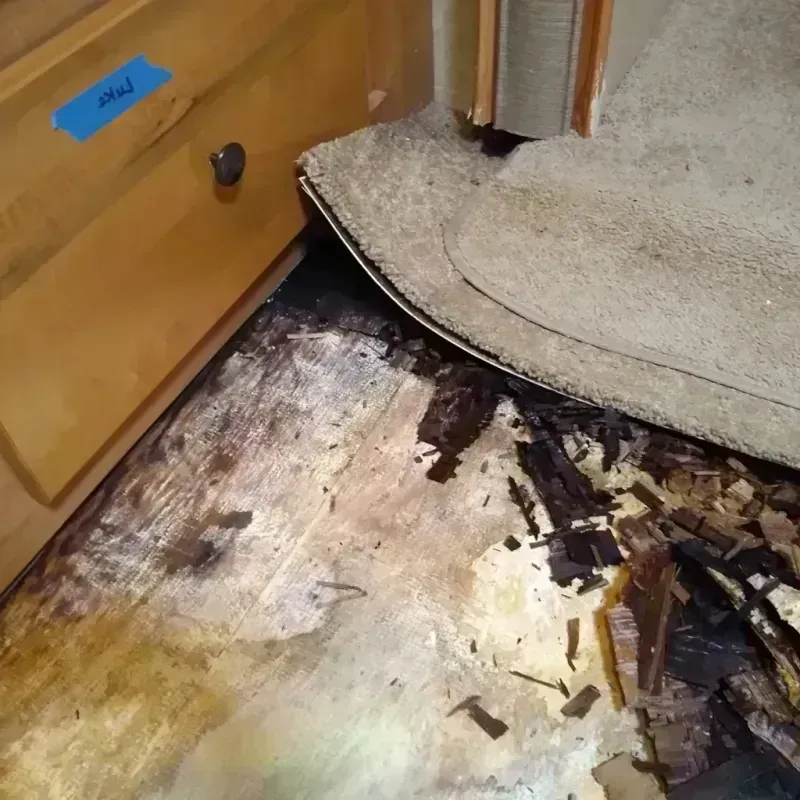 Wood Floor Water Damage in Greensburg, KS